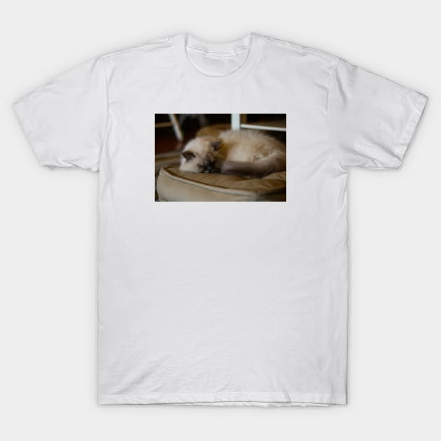 Sleepy cat T-Shirt by Gun&One